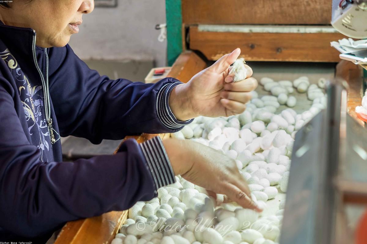 PTA产业链价格涨跌互现：涤纶FDY领跌，PX同比涨幅超20%